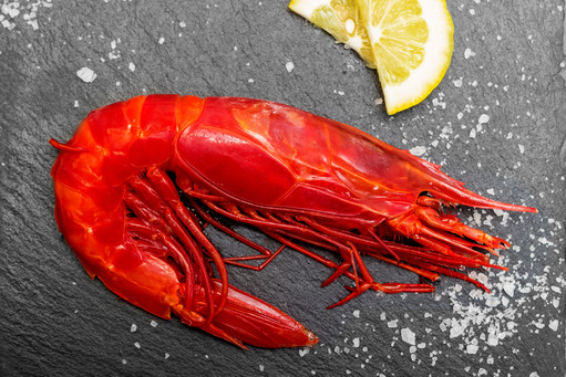Carabinero, red prawn, seafood