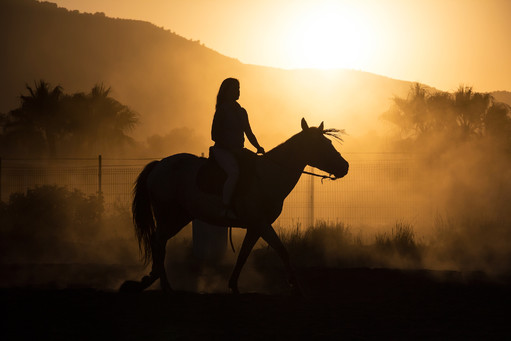 Sunset Horse Riding