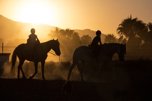 Sunset Horse Riding